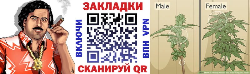 Как найти закладки Тула ГАШ Кокаин Амфетамин Alpha PVP Каннабис МЕФ