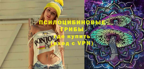индика Лиски