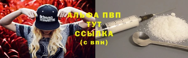 стаф Магас