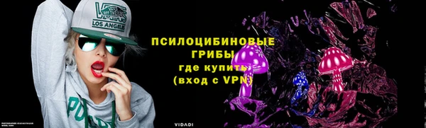 индика Лиски