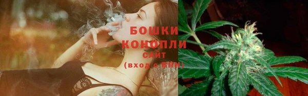 прущие грибы Липки