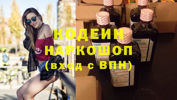 индика Лиски
