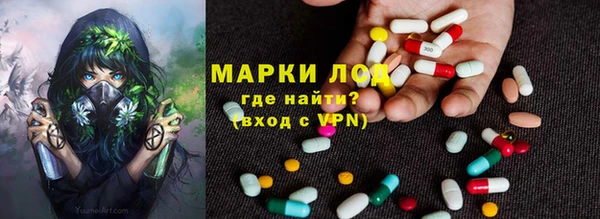 индика Лиски