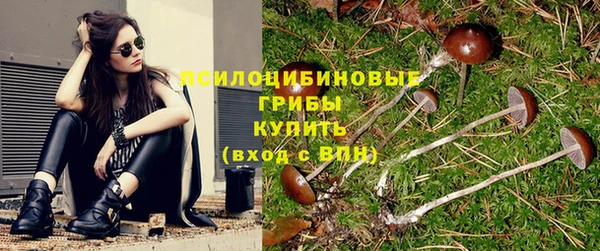 прущие грибы Липки