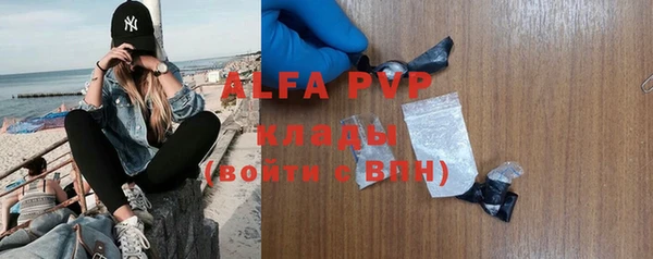 прущие грибы Липки