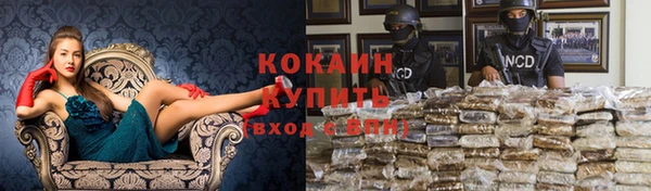 прущие грибы Липки