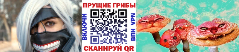 Галлюциногенные грибы GOLDEN TEACHER Тула