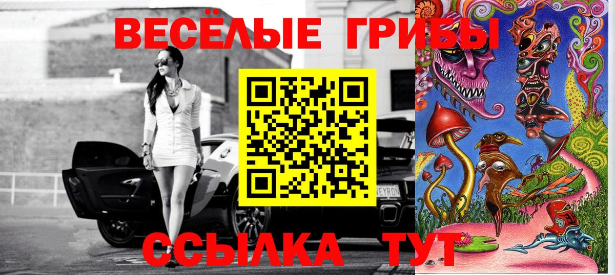 Псилоцибиновые грибы Psilocybine cubensis  Псилоцибиновые грибы Cubensis  Вход с VPN  Тула 