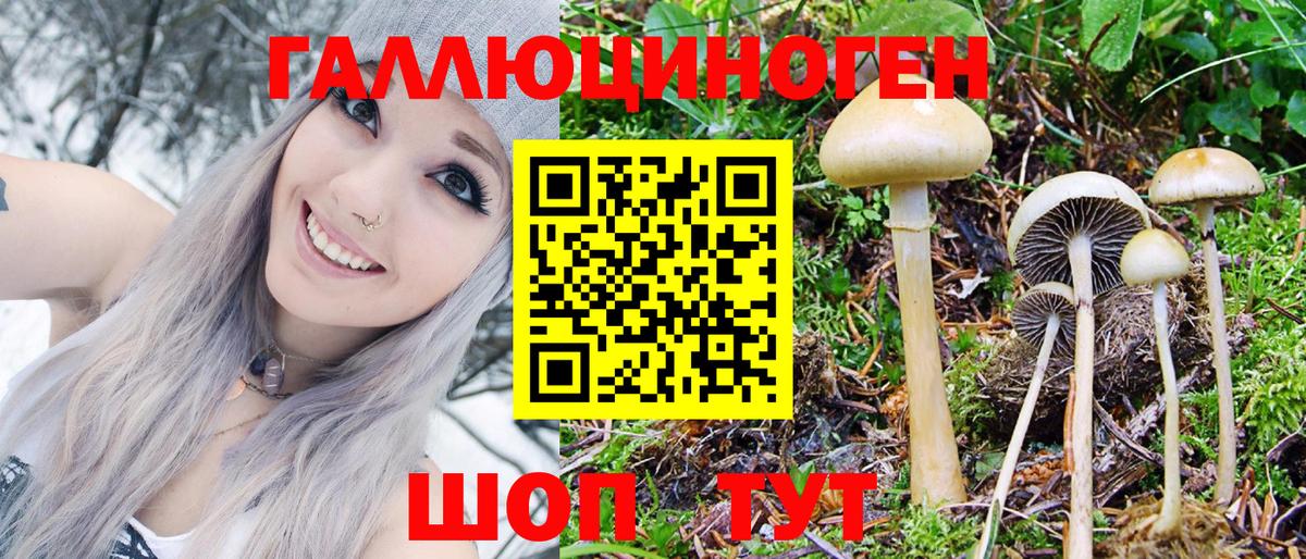 Галлюциногенные грибы мухоморы Тула